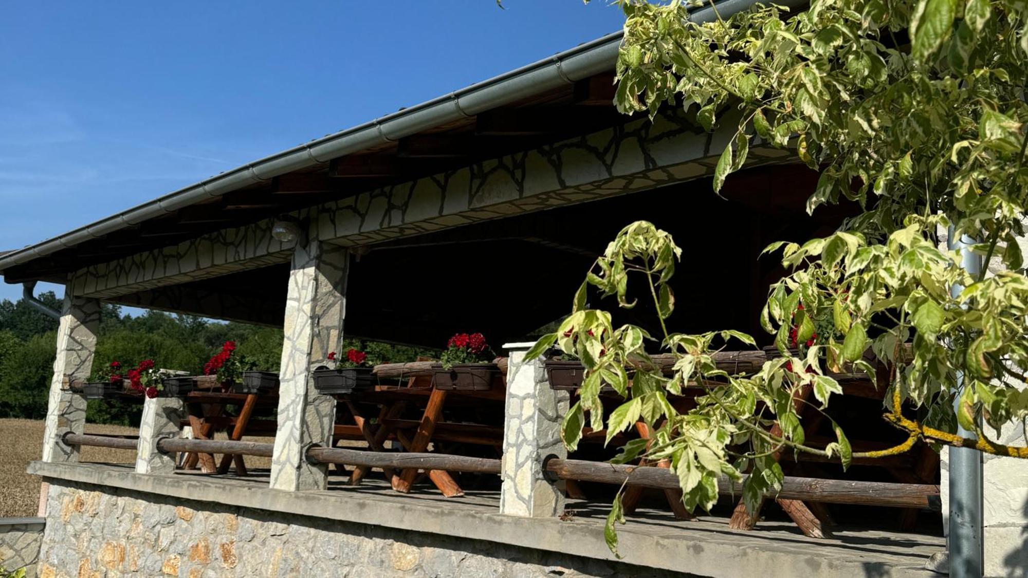 Forest Camp Despotovac Exterior photo