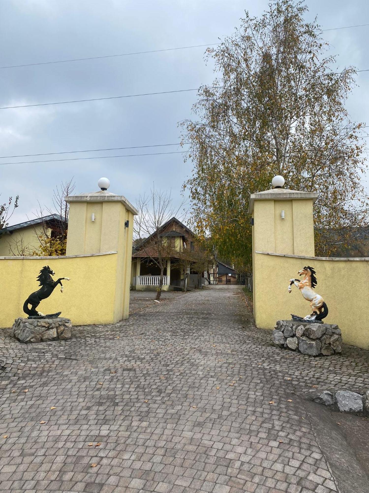 Forest Camp Despotovac Exterior photo