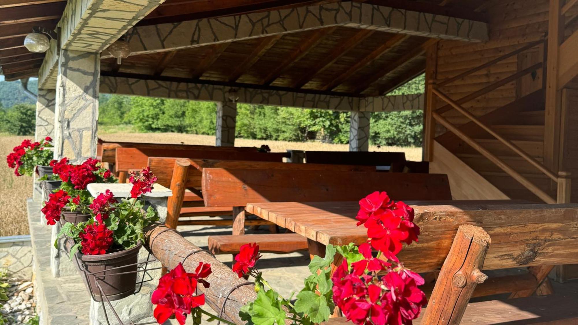 Forest Camp Despotovac Exterior photo
